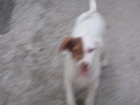 IMG 5502