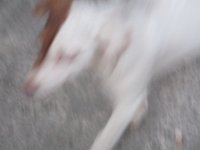 IMG 5503