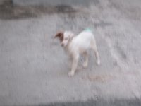 IMG 5505