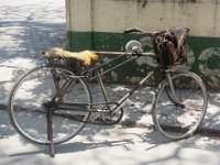 IMG 5535