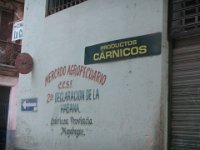 IMG 5628