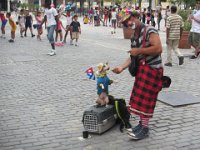 IMG 5691
