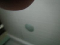 IMG 6145