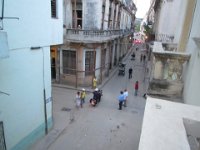 IMG 5116