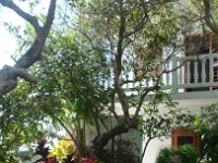 DSC08617