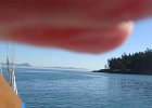 DSC09354