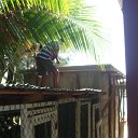 DSC09907