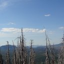 DSC09183