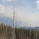 DSC09209