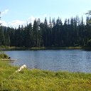 DSC09214