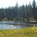 DSC09215