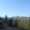 DSC09226
