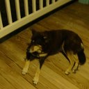 DSC09736