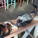 DSC09757