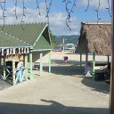 DSC09786
